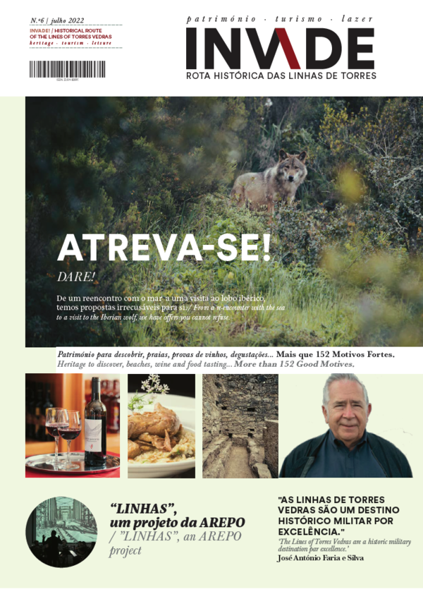 revista_invade_6_e1658421014771