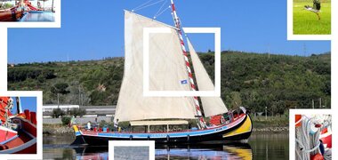 Barco varino  liberdade    visitas 2019 1 380 180