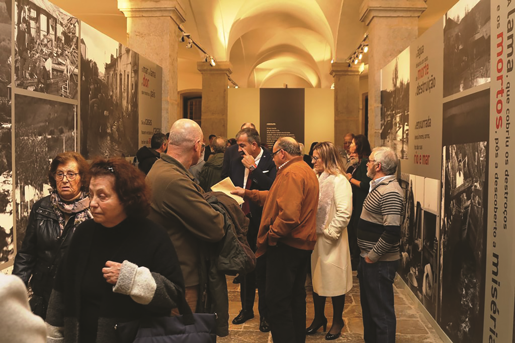 img_4447_1_1024_2500