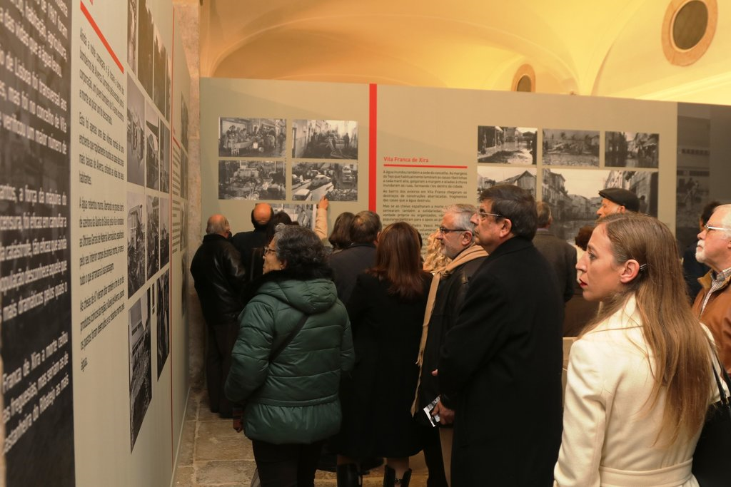 img_4450_1_1024_2500