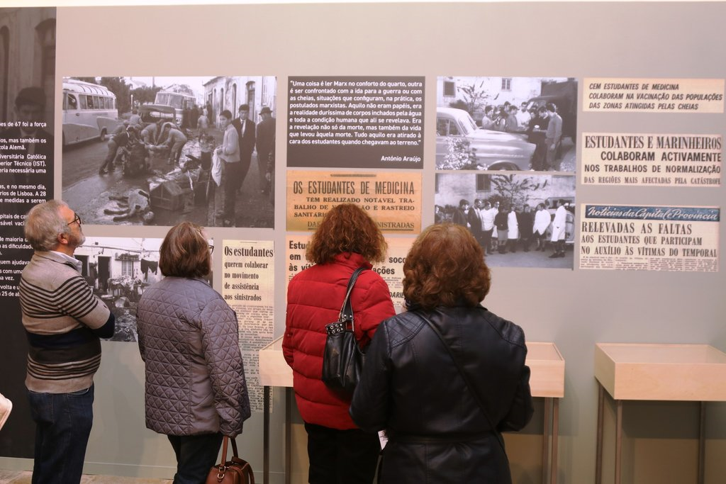 img_4466_1_1024_2500