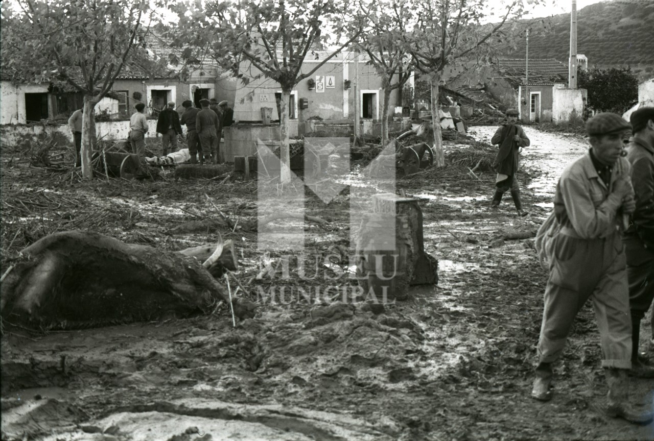 Lisbon Flood Disaster. A calamidade das Cheias de Lisboa. Terence Spencer. Quintas, novembro de 1...