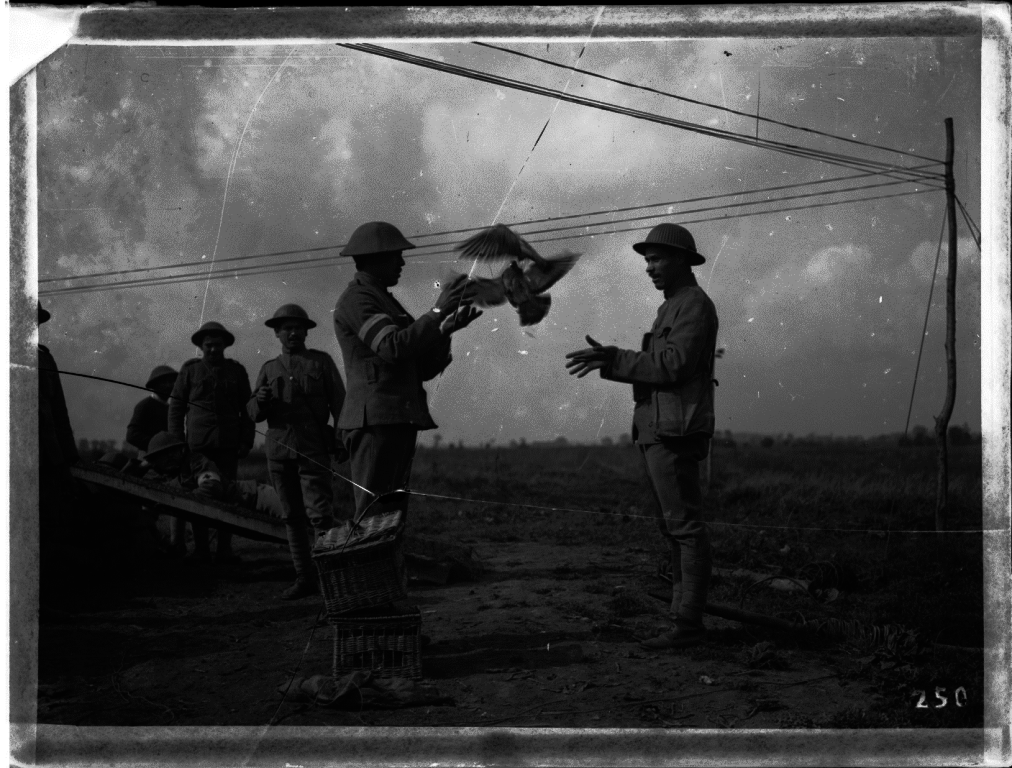 A Grande Guerra evocada no Celeiro da Patriarcal