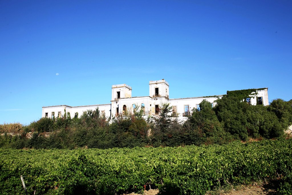 Palácio do Farrobo