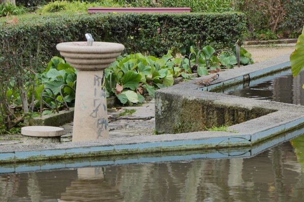 alhandra___bebedouro_e_lago_do_jardim_bras_de_albuquerque_010