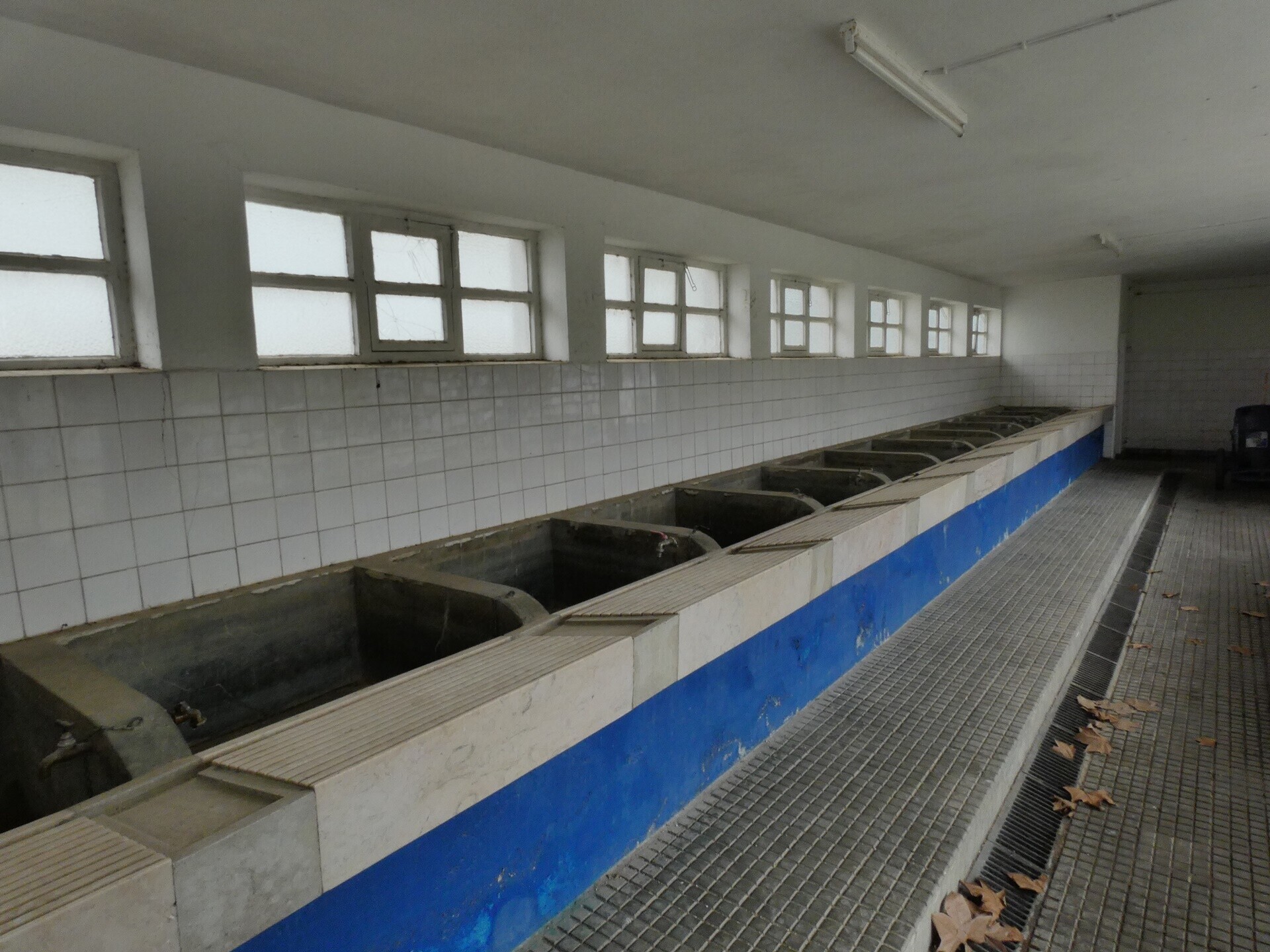 castanheira___quintas___lavadouro_das_quintas__011