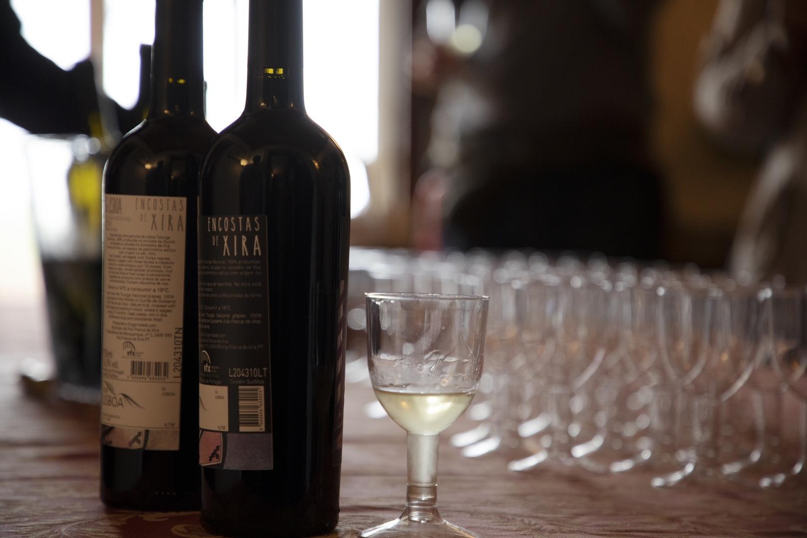 Morgado Lusitano: “Prova de vinhos – Encostas de Xira”; “Batismos Equestres”