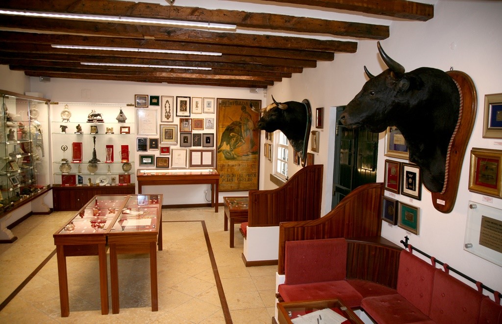 Espaço Expositivo - Casa Museu Mário Coelho