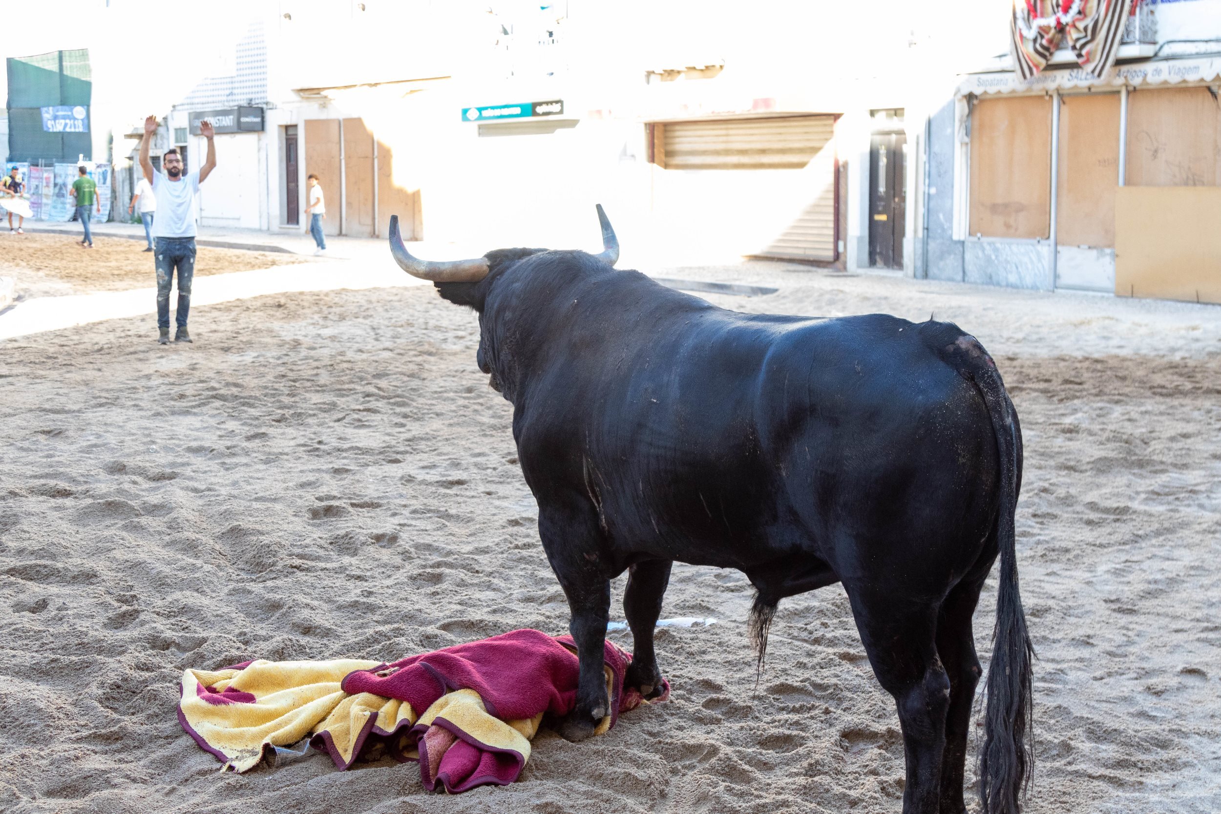 52186512177_8425a8108b_5k