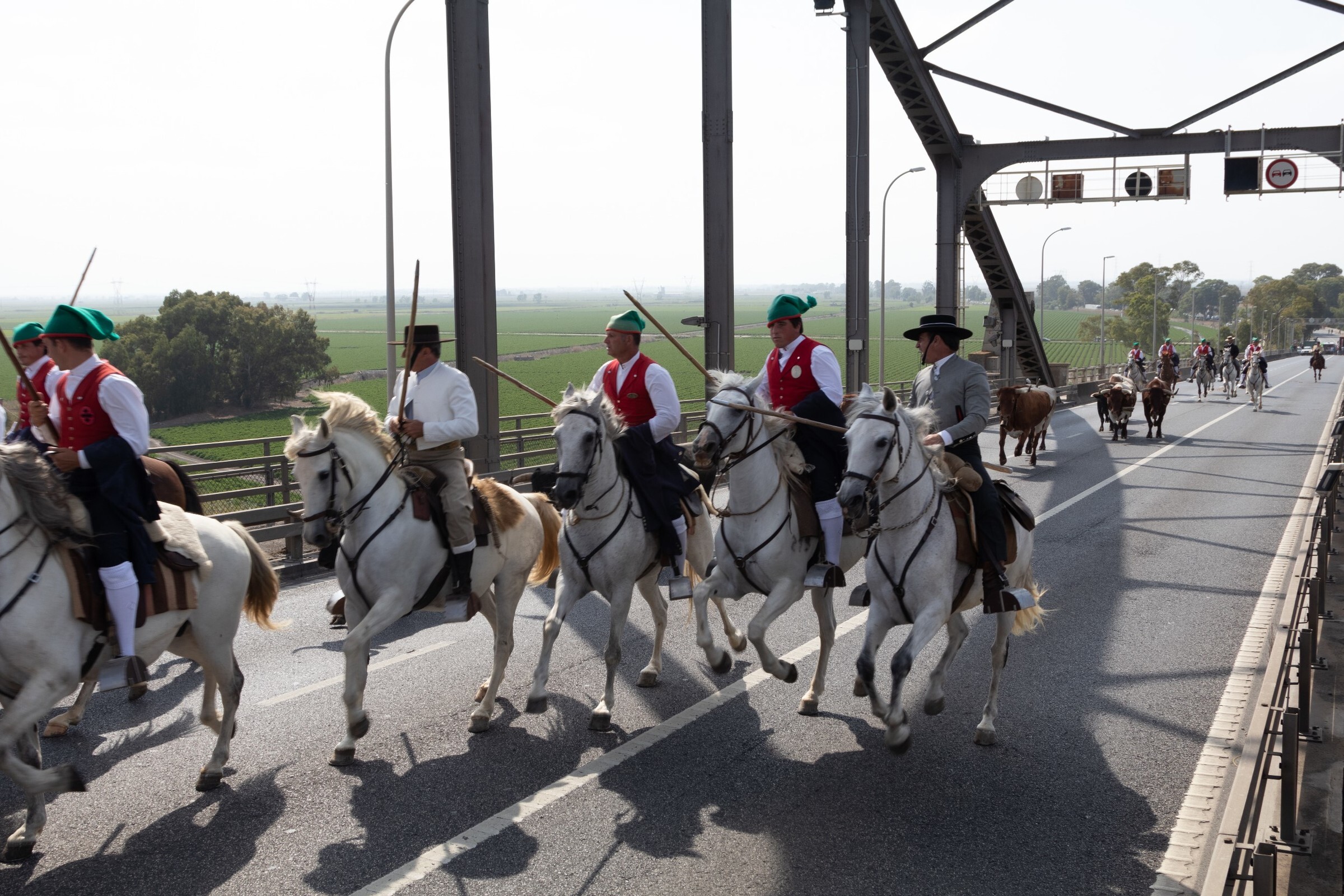 52190471954_e87977a201_6k